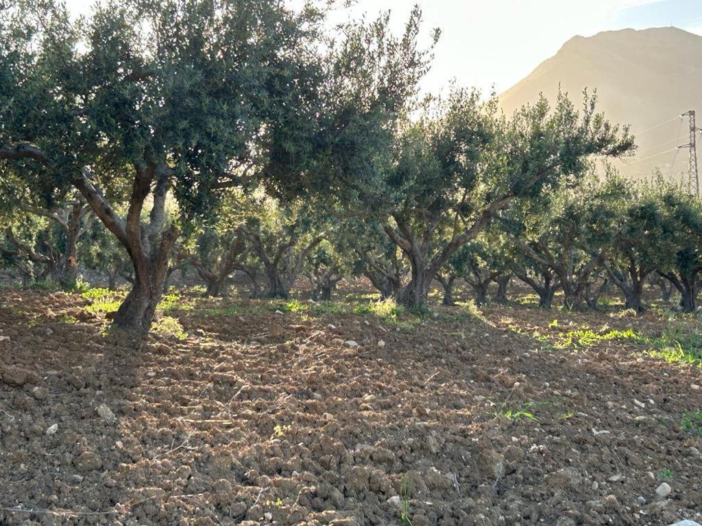 Bed and Breakfast Civetta Blu Castellammare del Golfo Exterior foto